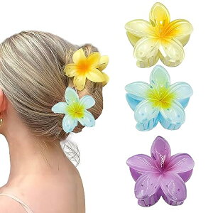 HAPVITAL �w�A�N���b�v �Ԃ̌` 3����傫�� �o���X�N���b�v �ւ�������� ������ �N���b�v �傫�߂������� �� ��������Ƃ܂� ����