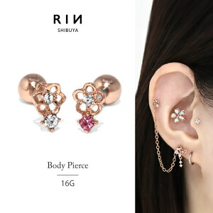 ySiz {fBsAX sAX 16G WG v` t[ L[rbNWRjA T[WJXeX AM[ gKX  Ԃ tF~j 킢 z {f