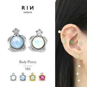 ySiz {fBsAX sAX 16G 킢 t[ T[WJXeX AM[ WG  t i Ԃ tF~j LL Vo[ S[h sNS[