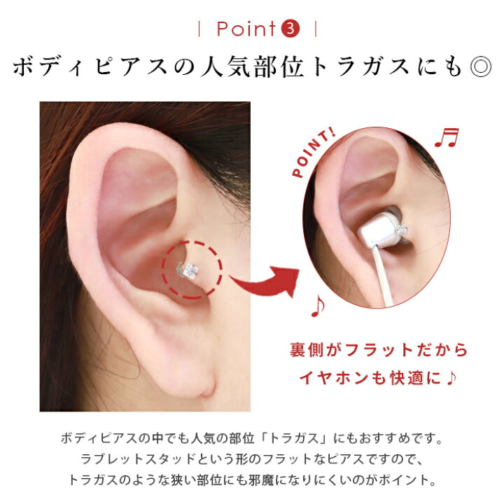 機構 同性愛者 観光 ボディ ピアス トラガス スズメバチ 適度に 弾薬