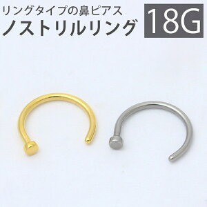 ySiz @sAX 18G {fBsAX @s mXgO 18Q[W sAX Y mXg T[WJXeX {fB[sAX Pierce z