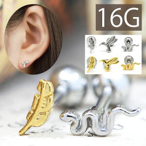 ySiz sAX 킢 16G {fBsAX  wr H  g tFU[ 16Q[W sAX Y Xg[go[x T[WJXeX   Ȃ񂱂҂ {fB[