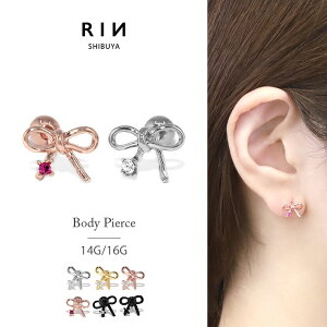 {fBsAX sAX 14G 16G sAX AM[ { T[WJXeX ςȂ XeX ZJhsAX Vo[ S[h sNS[h ubN fB[X L