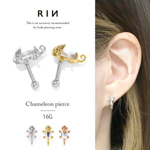 sAX 16G {fBsAX T[WJXeX AM[ JI ߂ꂨ ঒ ͒ LL  Xg[go[x Vo[ S[h sNS[h Ўp 