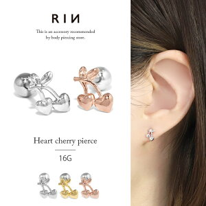 {fBsAX sAX 16G  sAX n[g AM[ T[WJXeX ZJhsAX XeX ςȂ Vo[ S[h sNS[h fB[X Xg