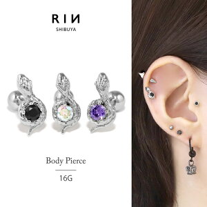 sAX 16G {fBsAX T[WJXeX AM[Ή AM[ ςȂ ւ  Xl[N ঒މ WG gKX L[rbNWRjA  sA