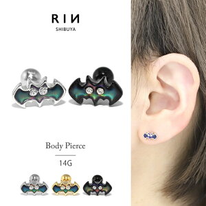 ySiz sAX 14G {fBsAX 킢 Lb` `[ T[WJXeX AM[  Aj}   |bv obg  nEB t@[