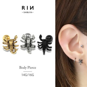 ySiz sAX 16G {fBsAX 14G T\ XR[sI BY X^CbV 16Q[W 14Q[W sAX Xg[go[x Ўp T[WJXeX  Ȃ񂱂