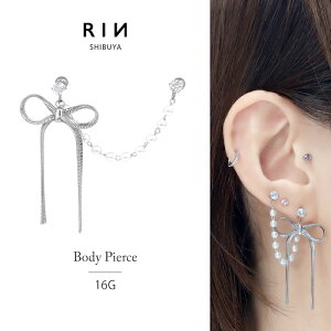 sAX 16G {fBsAX `[ { ڂ p[ T[WJXeX AM[ AM[ ςȂ `F[ Xg[go[x XeX ANZT[ 