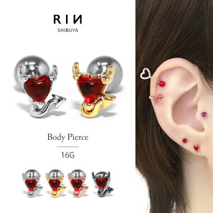 sAX 16G {fBsAX T[WJXeX ςȂ AM[ AM[Ή   fr n[g Vo[ S[h sNS[h ubN sAX JX^