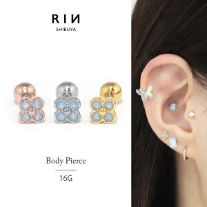 sAX 16G {fBsAX T[WJXeX AM[ AM[  t[ ςȂ L[rbNWRjA Xg[go[x ZJhsAX fB[X V