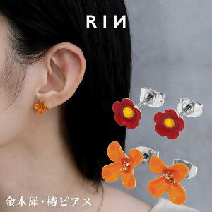 sAX AM[ AM[ T[WJXeX ςȂ  t[`[t ؍  fB[X  l 킢 ꂢ Vv GKg i d  I