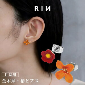 sAX AM[ AM[ T[WJXeX ςȂ  t[`[t ؍  fB[X  l 킢 ꂢ Vv GKg i d  I