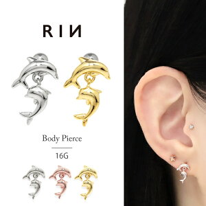 sAX 16G {fBsAX AM[ T[WJXeX ZJhsAX  Y fB[X gKX wbNX S[h sNS[h Vo[ CJ C lW 