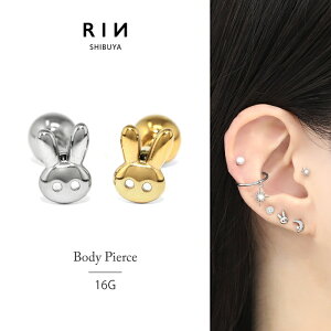 {fBsAX 16g AM[Ή ςȂ sAX T[WJXeX  gKX t@[XgsAX ZJhsAX fB[X S[h Vo[ Ci[RN w