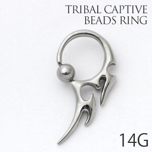 ySiz {fBsAX Lb` 14G O sAX 킢 T[WJXeX XeXΉ LveBu r[YO gCo ό` CBR [WQ[W 14Q[W 