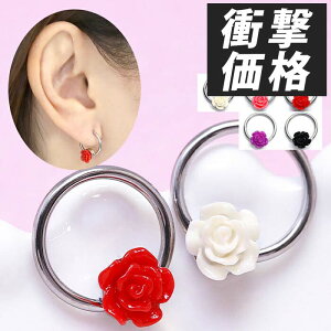 ySiz O {fBsAX KN t[  Q[W sAX LveBur[YO Ўp T[WJXeX  {fB[sAX sAX Pierce