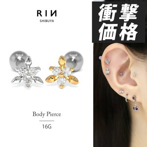 ySiz sAX 16G {fBsAX 킢 T[WJXeX AM[ WG LL  Z Z䊐   L[rbNWRjA gjeB Xg