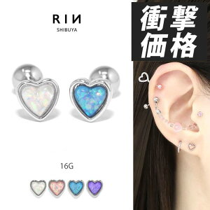 {fBsAX sAX 16G AM[ AM[ T[WJXeX ςȂ Xg[go[x AN n[g fB[X  l d ItBX ꂢ 킢