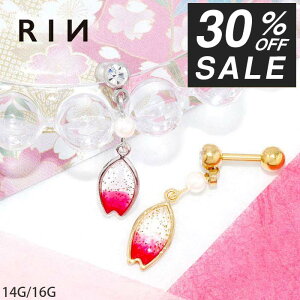 {fBsAX 16G 14G `[ Lb`  Ԃт p[ Vo[ S[h T[WJXeX AM[ sAX 킢  fB[X Y ZJhsAX asAX 