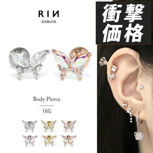 {fBsAX sAX 16G AM[ AM[ T[WJXeX Lb` Xg[go[x fB[X  d ItBX  X  킢 LC Vv