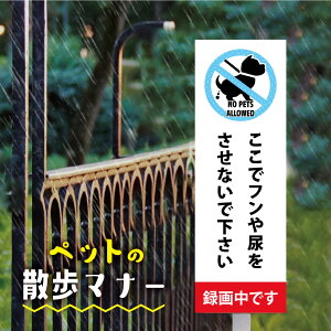 _N[|zz^uŃtAȂŉ ^撆łvW100mm×H300mmŔ ybg̎U}i[ t֎~ U ̎U֎~ tA֎~ ybg֎~ inu-09