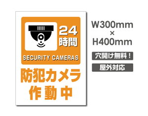 _N[|zz^ v[gŔyhƃJ쓮zA~ W300mm×H400mm Ŕ 3mm s@ Ď 24 ʕ  p h ^撆 sR x  