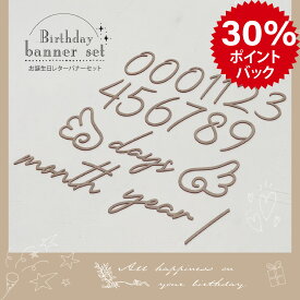 ＼クーポン配布中♪／日本製 月齢カード 木製 レターバナー 19点セット〈毎日 毎月 毎年使える〉赤ちゃん 月齢 フォト グッズ Happy Birthday 寝相アート ベビー 誕生日 おしゃれ マタニティフォト ニューボーンフォト 100日祝い 出産祝い天使の羽