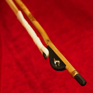 猐i| ɕigÔܒ|_6062ie͂_|W|Yngpj