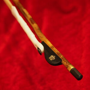 猐i| ɕigÔܒ|_6063ie͂_|W|Yngpj