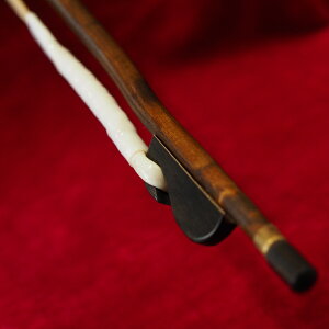 ɕiߋ|_050ie͕W|W|Yngpj