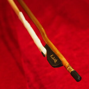 g|yɁ|݁|zg024ie͕W|W|Yngpj