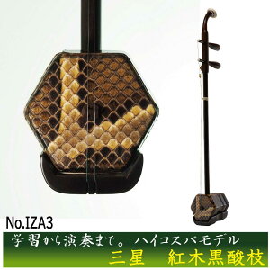 �ѐ���Ӂy�O���z�g�؍��_�}�@S/N.IZA3