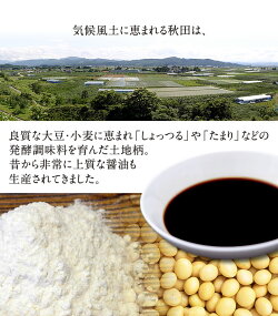 ラーメン送料無料&1000円ポッキリ【メール便】林泉堂の中華そば6食(自家製生麺&スープ)