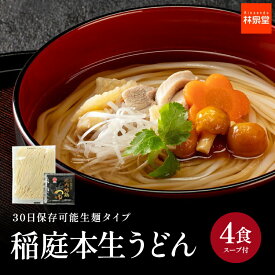 つるっともちもち！稲庭本生うどん 送料無料 生麺タイプ 稲庭本生うどん 4食 比内地鶏濃縮めんつゆ付き 本生うどん 冷やしうどん うどん 秋田 名産 アレンジ料理 簡単料理 本場の味 長期保存可能 常温保存可能 林泉堂
