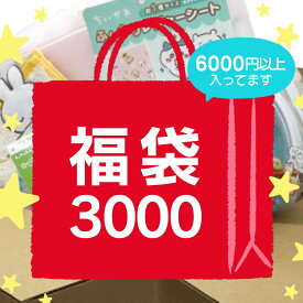 《6000円以上》 福袋 キャラクター ファンシー雑貨 2025 2026 グッズ 女の子 レディース 園児 小学生 子供 プレゼント ギフト 誕生日 クリスマス 春夏秋冬 かわいい おしゃれ 福箱 ハッピーバッグ