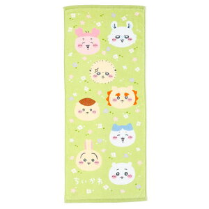  tFCX^I 34×80 ^I 100 X|[c^I O^I vg  z LN^[  ObY Mtg