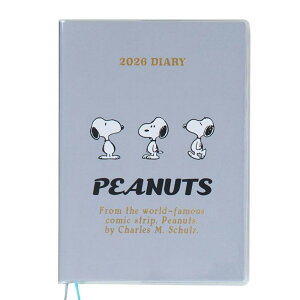 yő唼z!ڋʏi+őP20{+2000~offN[|z TI Xk[s[ B6_CA[ ubN 2026 10n܂ _CA[ V[t J_[ XPW[ 蒠 \ m[g T 