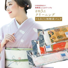 着物 クリーニング 送料無料 着物3点クリーニング＋1点ごとに窒素ガス入り真空パック 着物クリーニング,着物クリーニング 宅配,着物 クリーニング,宅配クリーニング 楽天 着物,成人式,成人式 着物 クリーニング