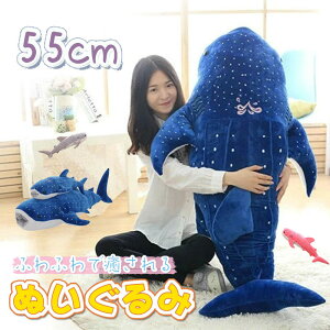 ʂ T  ~  ޏ l LbY qǂ ӂӂŖ 킢 WxCU q a LO  l炵 v[g Mtg oYj 55cm NX}Xv