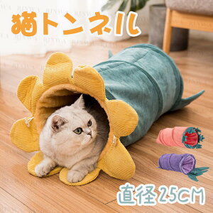 Lgl Lbg gl Lybg ΍ H~ g O  a25CM IV ܂肽ݎ LV XgXU ^s΍ Lp  ETM ˂ ߋ L