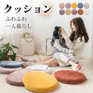 NbV zc  킢 ӂӂ  ֎qp `FApbh ~` a  40cm   tANbV  V[gNbV ۃNbV ۍzc tFCNt@[ [