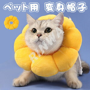 GUxXJ[ Lp p \tg 炩 Ȏ y p _炩 wXPA ی rߖh~ ޖh~ pEFA K \ ی rߖh~ ~h~  Ԃт 