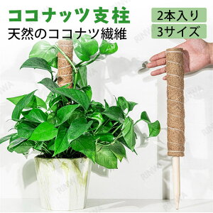 y2{ZbgzAx |x 2{Zbg x RRibcx | A Xe ϗtx ϗt 鐫A VRRRibc RRXeBbN 30cm 40cm 50cm A  ؐ t[X^