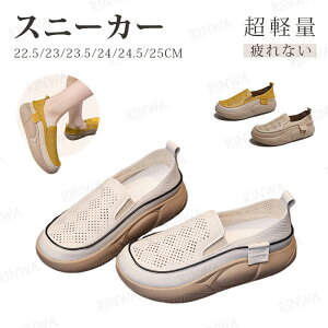 Xj[J[ fB[X tbgT_ T_ bV Xbp r ₷ T_ ₷  Ȃ C V[Y  X|[c AEghA r 