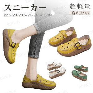 Xj[J[ fB[X T_ T_ Xbp [XT_ Xbp r ₷ T_ ₷  Ȃ C V[Y  X|[c AEghA 