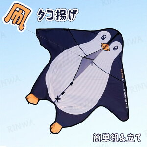 p_ JCg  ^R g ^Rg yM V VOJCg X|[c OV JtJCg OV AEghA W[ X|[cgC XJCX|[c sNjbN  Lv