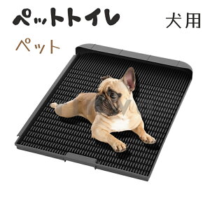  gC 45*58cm pgC ؃bggC 42×45cm g[jOpi IX юU ֗ ybggC ybg h~ p  юUh~