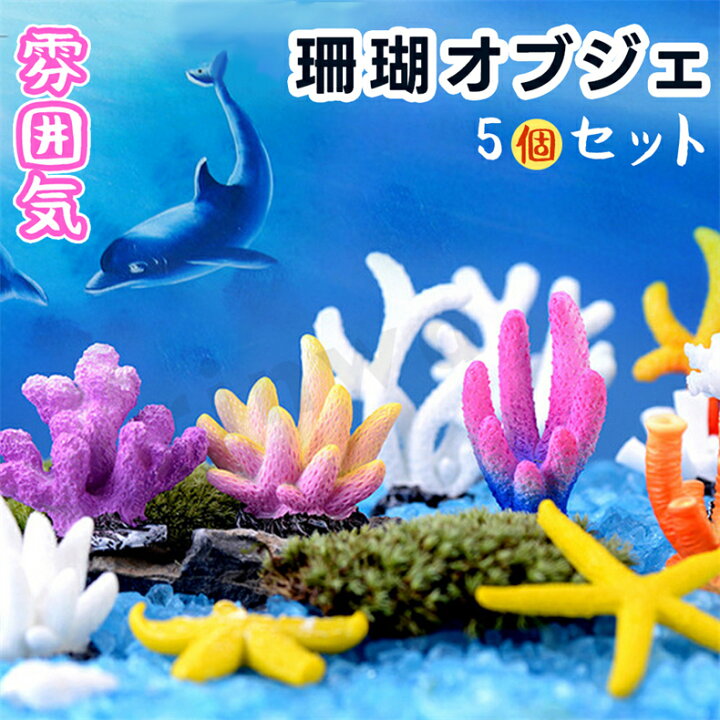 楽天市場】5個セット 人工珊瑚 アクアリウム サンゴ ミニチュア 水槽 