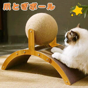 Lp ܂Ƃ{[ ܂Ƃ   u lC ^s  RpNg 킢 R ^ ȃXy[X X ܌ qL 傫L O[ R[q[ bh x[W